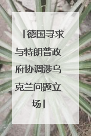 德国寻求与特朗普政府协调涉乌克兰问题立场
