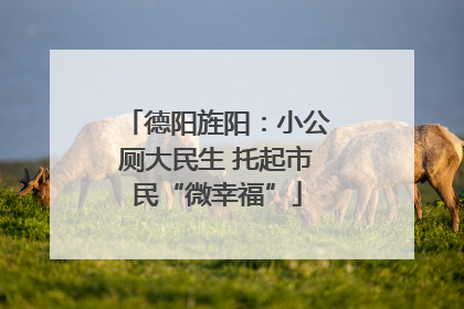 德阳旌阳：小公厕大民生 托起市民“微幸福”