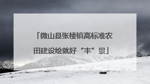 微山县张楼镇高标准农田建设绘就好“丰”景