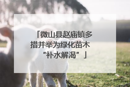 微山县赵庙镇多措并举为绿化苗木“补水解渴”