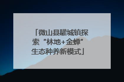 微山县驩城镇探索“林地+金蝉”生态种养新模式