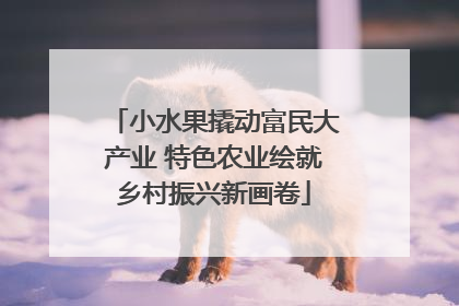 小水果撬动富民大产业 特色农业绘就乡村振兴新画卷