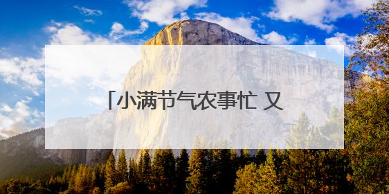 小满节气农事忙 又是一年好“丰”光