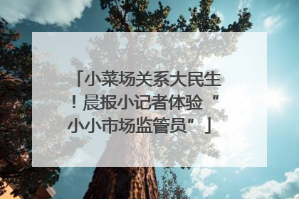 小菜场关系大民生！晨报小记者体验“小小市场监管员”