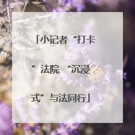 小记者“打卡”法院 “沉浸式”与法同行