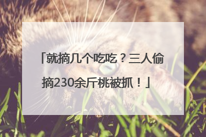 就摘几个吃吃？三人偷摘230余斤桃被抓！