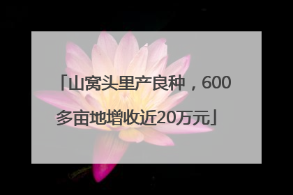 山窝头里产良种，600多亩地增收近20万元