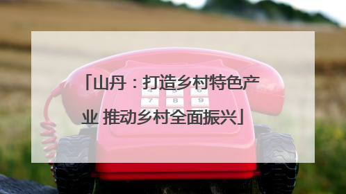山丹：打造乡村特色产业 推动乡村全面振兴