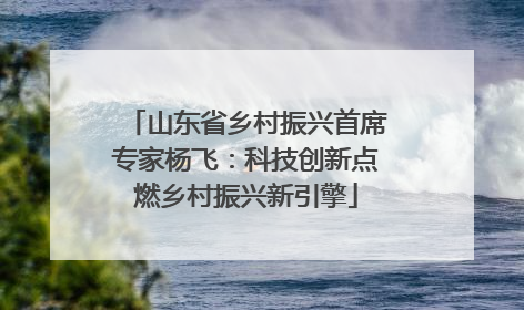 山东省乡村振兴首席专家杨飞：科技创新点燃乡村振兴新引擎