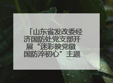 山东省发改委经济国防处党支部开展“迷彩映党徽 国防淬初心”主题党日活动