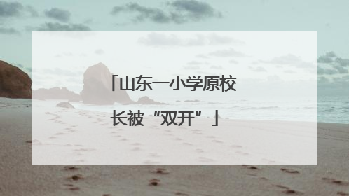 山东一小学原校长被“双开”
