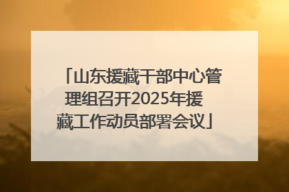 山东援藏干部中心管理组召开2025年援藏工作动员部署会议