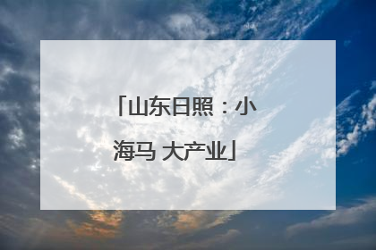 山东日照：小海马 大产业