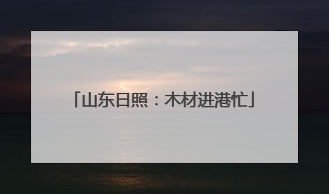山东日照：木材进港忙