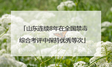 山东连续8年在全国禁毒综合考评中保持优秀等次