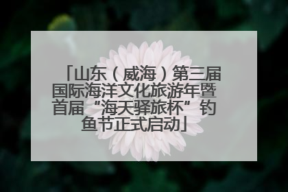 山东（威海）第三届国际海洋文化旅游年暨首届“海天驿旅杯”钓鱼节正式启动