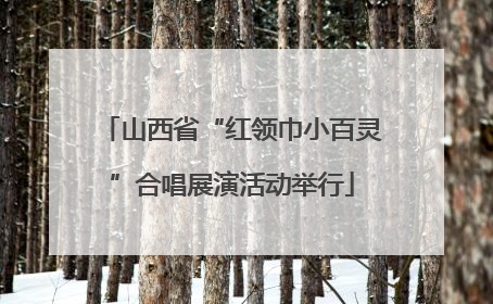 山西省“红领巾小百灵”合唱展演活动举行