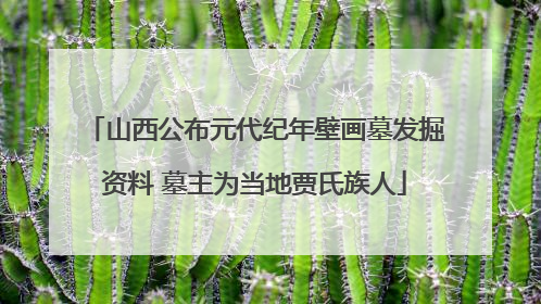 山西公布元代纪年壁画墓发掘资料 墓主为当地贾氏族人