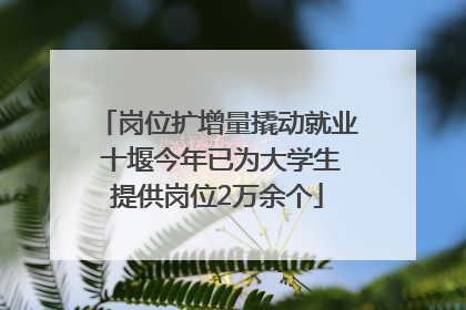 岗位扩增量撬动就业 十堰今年已为大学生提供岗位2万余个