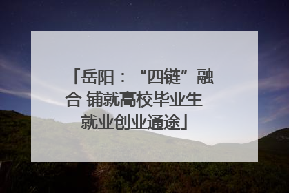岳阳：“四链”融合 铺就高校毕业生就业创业通途