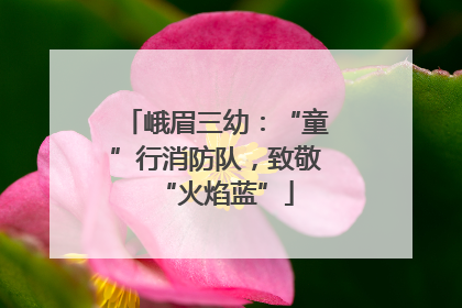峨眉三幼：“童”行消防队，致敬“火焰蓝”