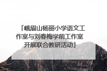 峨眉山杨丽小学语文工作室与刘春梅学前工作室开展联合教研活动