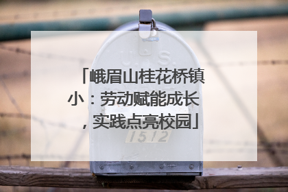 峨眉山桂花桥镇小：劳动赋能成长，实践点亮校园
