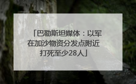 巴勒斯坦媒体：以军在加沙物资分发点附近打死至少28人