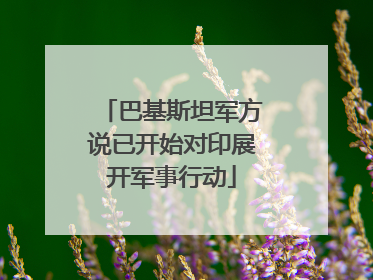 巴基斯坦军方说已开始对印展开军事行动