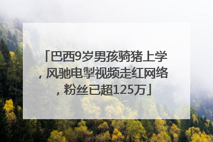 巴西9岁男孩骑猪上学，风驰电掣视频走红网络，粉丝已超125万