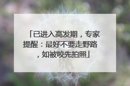 已进入高发期，专家提醒：最好不要走野路，如被咬先拍照