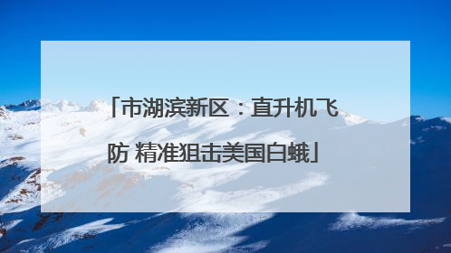 市湖滨新区：直升机飞防 精准狙击美国白蛾