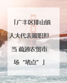 广丰区排山镇人大代表履职担当 疏通农贸市场“堵点”