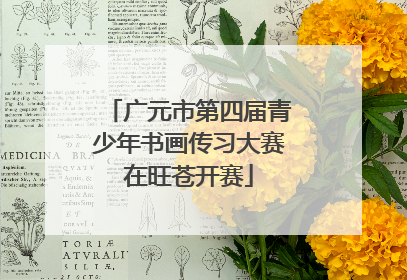 广元市第四届青少年书画传习大赛在旺苍开赛