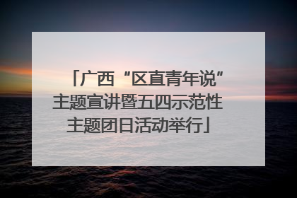 广西“区直青年说”主题宣讲暨五四示范性主题团日活动举行