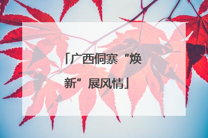 广西侗寨“焕新”展风情