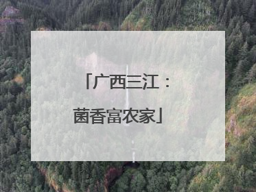 广西三江：菌香富农家