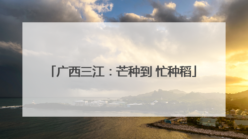 广西三江：芒种到 忙种稻