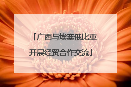 广西与埃塞俄比亚开展经贸合作交流