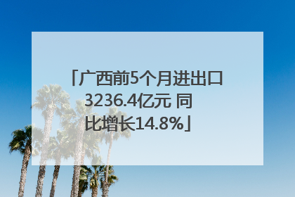 广西前5个月进出口3236.4亿元 同比增长14.8%