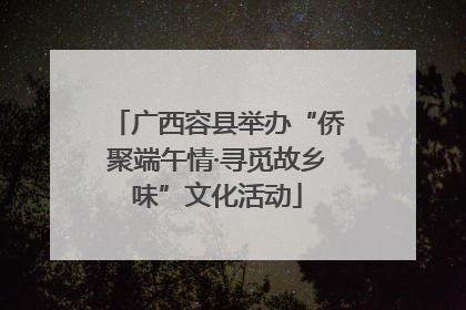 广西容县举办“侨聚端午情·寻觅故乡味”文化活动