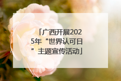 广西开展2025年“世界认可日”主题宣传活动