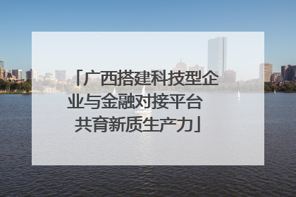 广西搭建科技型企业与金融对接平台 共育新质生产力