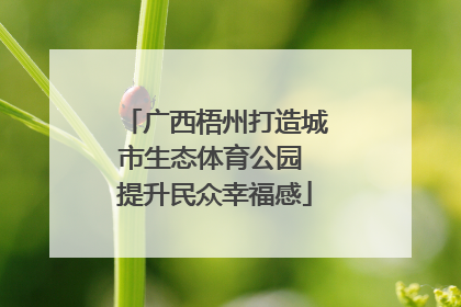 广西梧州打造城市生态体育公园 提升民众幸福感