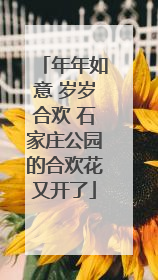 年年如意 岁岁合欢 石家庄公园的合欢花又开了