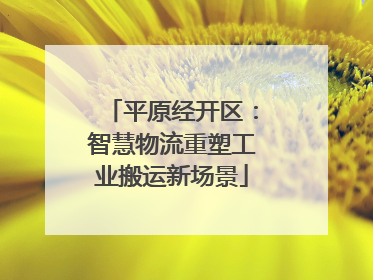 平原经开区：智慧物流重塑工业搬运新场景