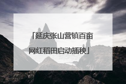 延庆张山营镇百亩网红稻田启动插秧