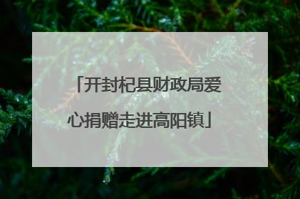 开封杞县财政局爱心捐赠走进高阳镇