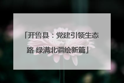 开鲁县：党建引领生态路 绿满北疆绘新篇