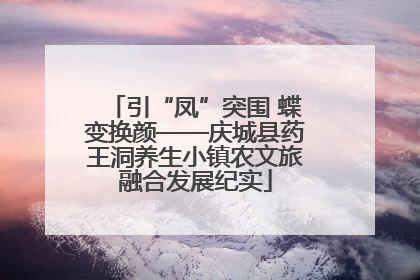 引“凤”突围 蝶变换颜——庆城县药王洞养生小镇农文旅融合发展纪实